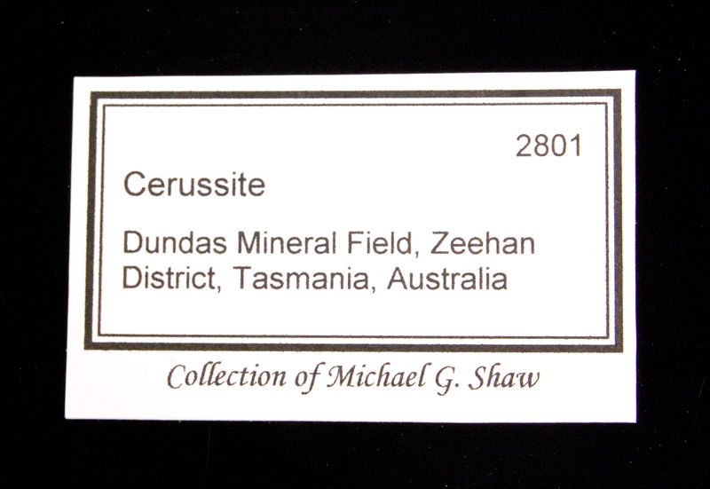 Collection label.jpg