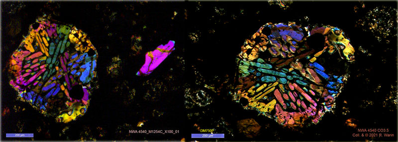 Comparaison-2-microscopes_Leica.jpg