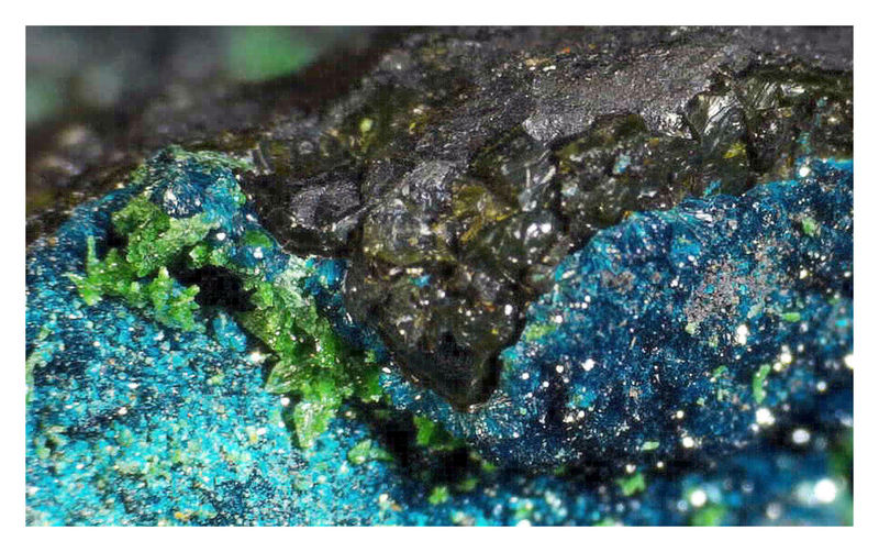 Cornetite - Under the Microscope 1.jpg