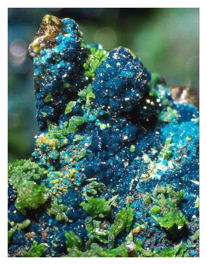 Cornetite - Under the Microscope 2.jpg