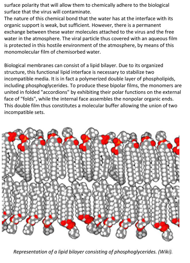 Coronavirus-19-en JD4 (2).jpg