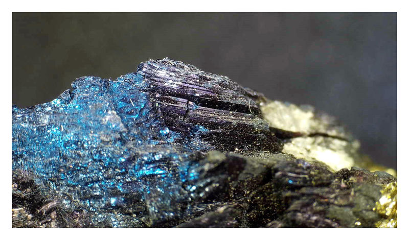 COVELLITE UNDER THE SCOPE 1.jpg