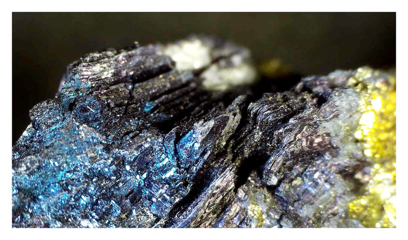 COVELLITE UNDER THE SCOPE 2.JPG