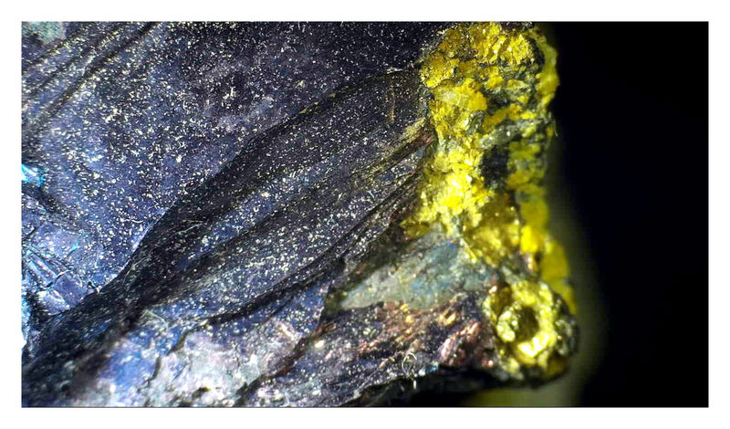COVELLITE UNDER THE SCOPE 3.JPG