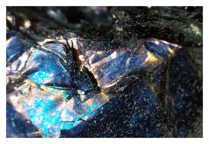 COVELLITE UNDER THE SCOPE 4.JPG