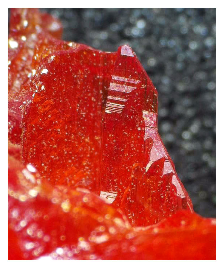 Crocoite 2.jpg