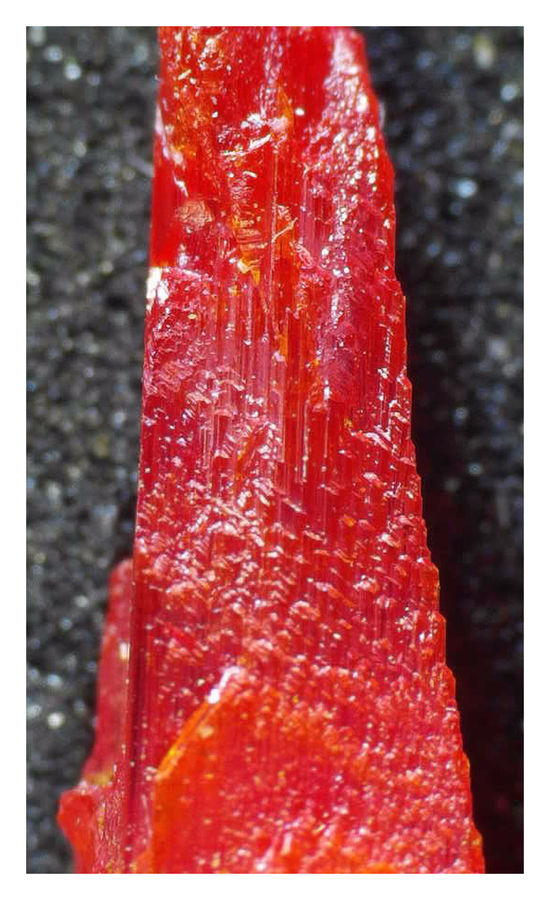 Crocoite 3.jpg