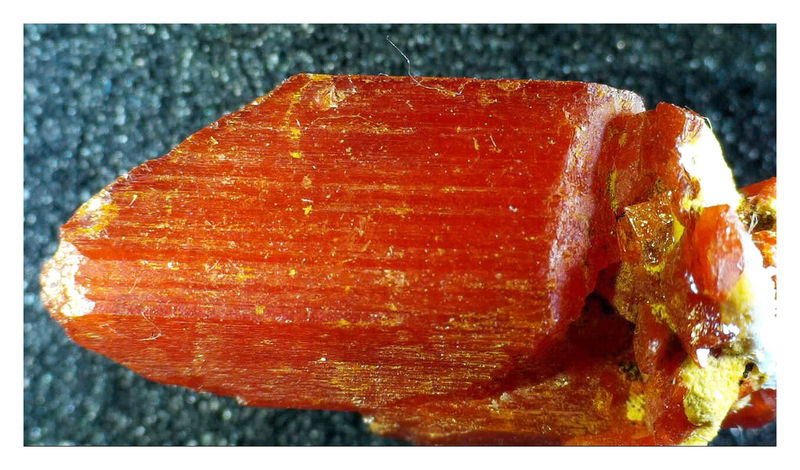 Crocoite 4.jpg