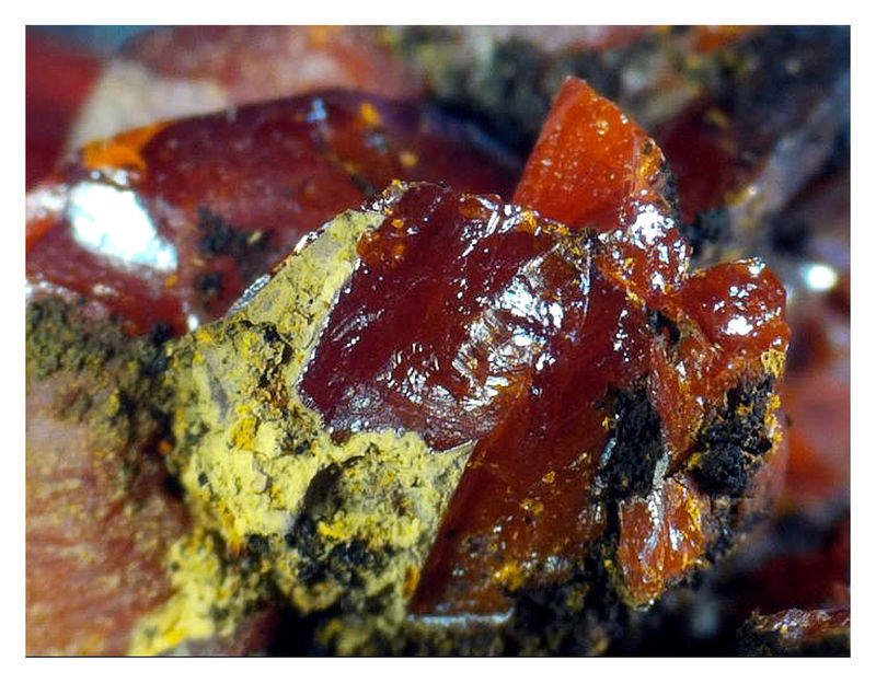 Crocoite 8.jpg