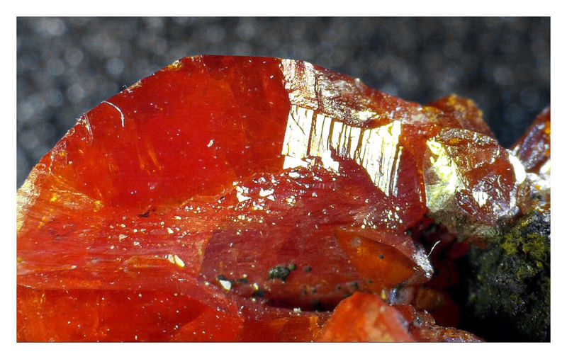 Crocoite 9.jpg