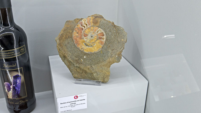 D-09-11.jpg