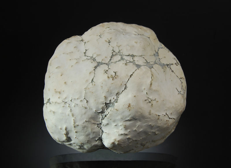 Datolite - Houghton Co., Michigan (back).jpg