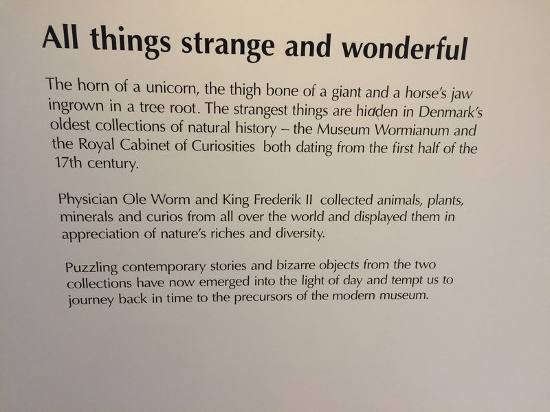 DGM, exotics, All things strange + wonderful.JPG