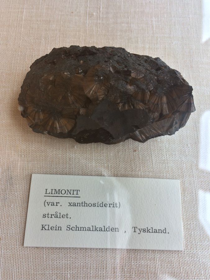 DGM, Limonite (var xanthosiderite), Schmalkalden,  Thuringian Forest,  Thuringia,  Germany.JPG