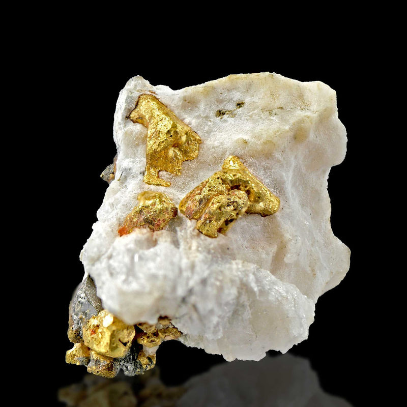 DilzGOLD1.jpg