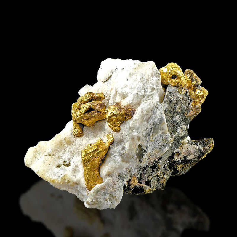 DilzGOLD2.jpg