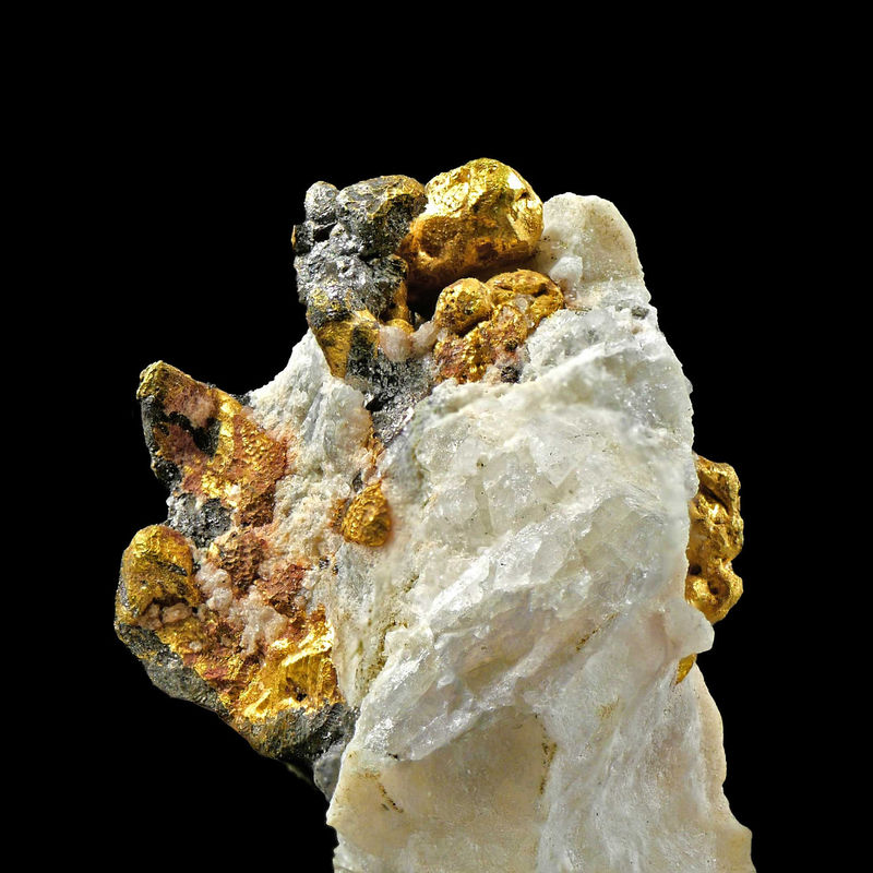DilzGOLD3.jpg