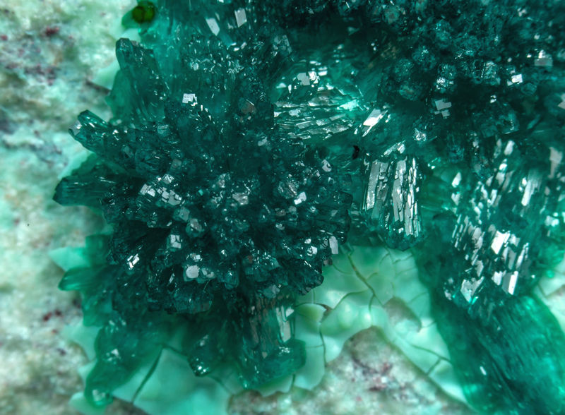 Dioptase detail - Milpillas Mine_1100 level_Cuitaca_Municipio Santa Cruz_Sonora_Mexico.jpg