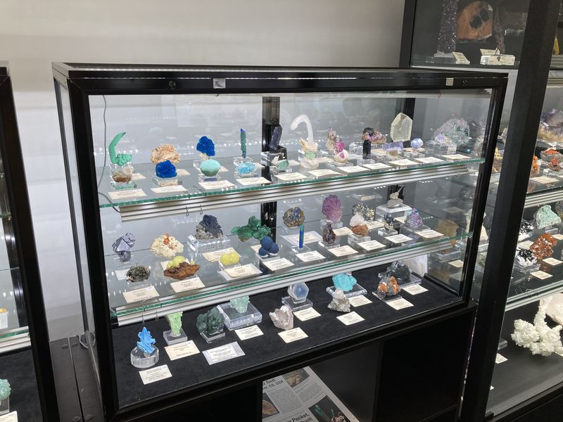 Displays (2).JPG