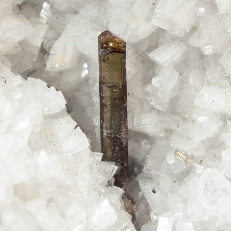 Dissakisite-(Ce)-Allanite-(Ce) with Dolomite - Trimouns Mine_Occitanie_France.jpg