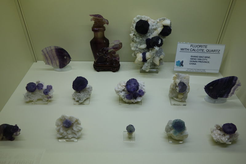 DSC02259.JPG