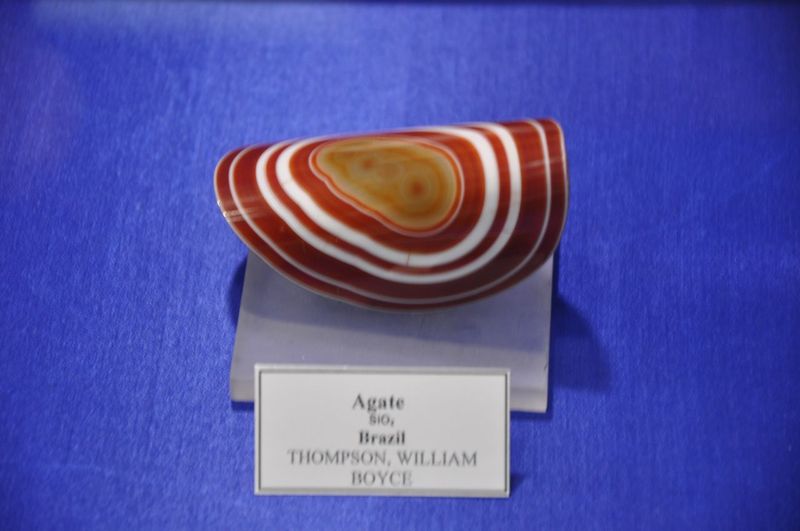 DSC_0600.jpg