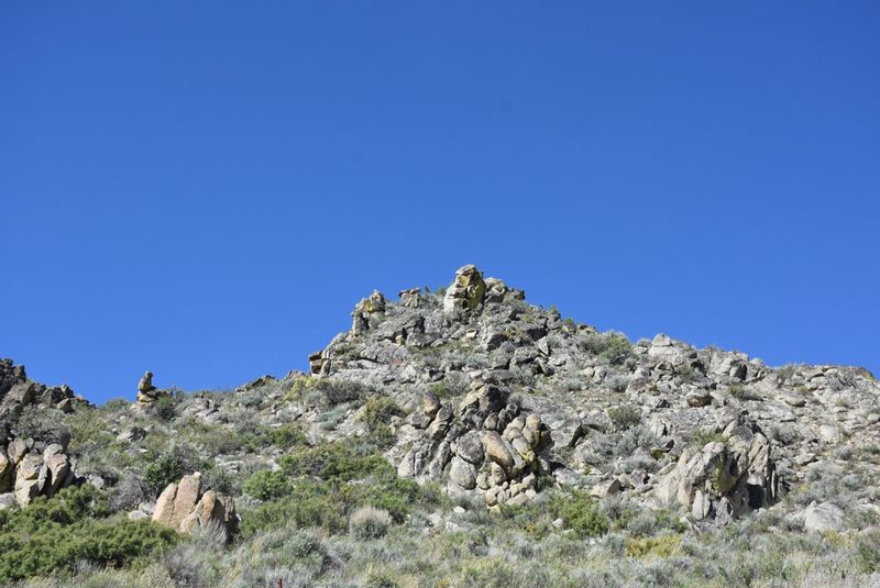 DSC_8212.jpg