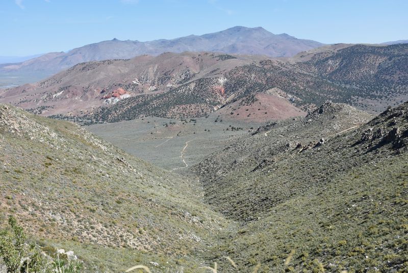 DSC_8230.jpg