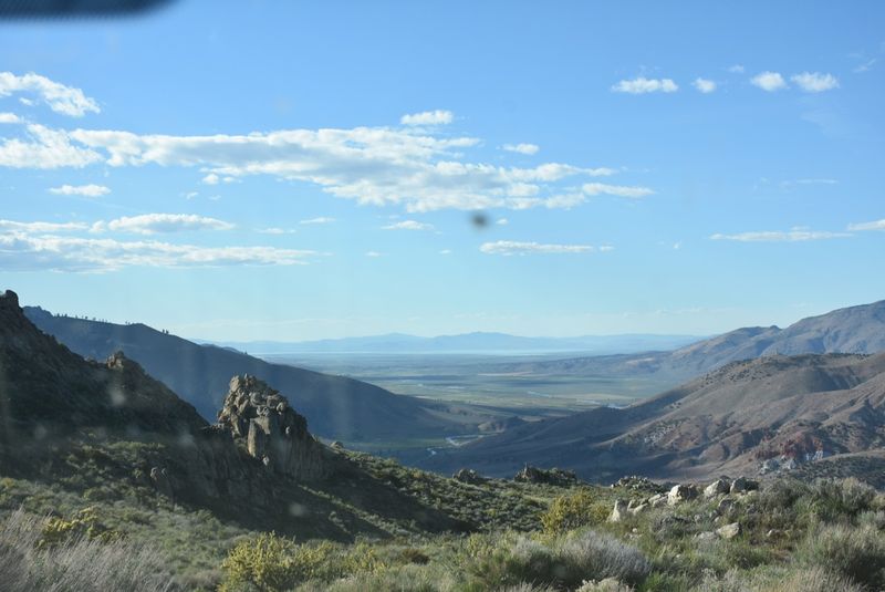 DSC_8295.jpg