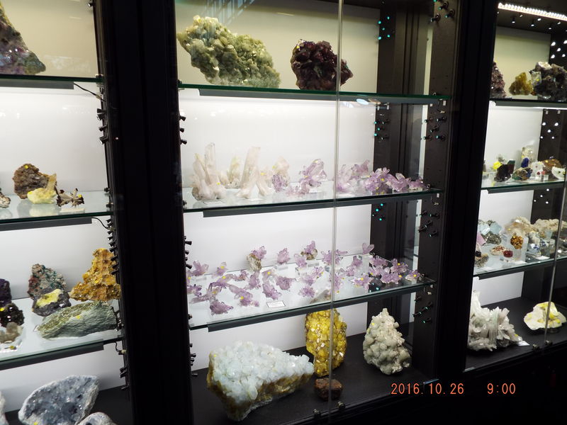 DSCF2584.JPG