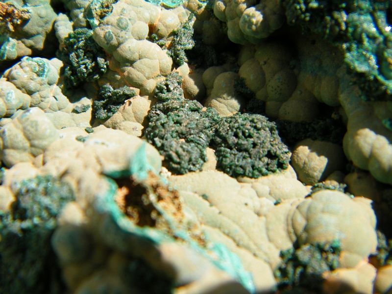 DSCF5477.JPG