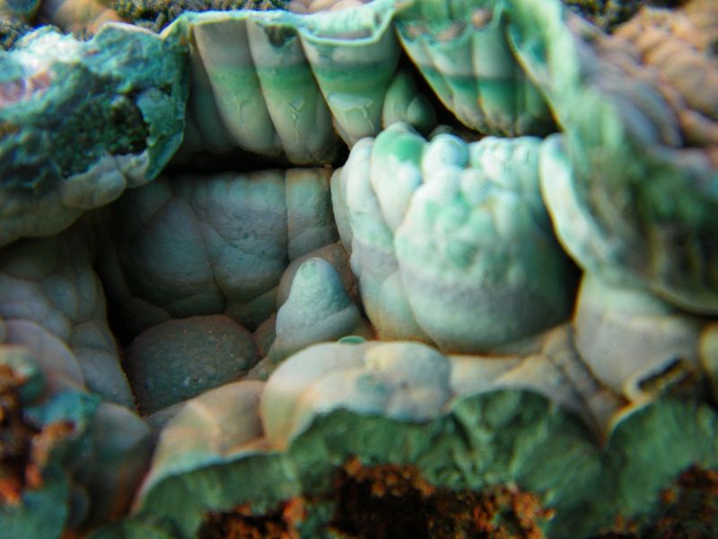 DSCF5478.JPG