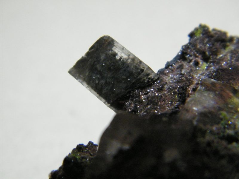 DSCF9328.JPG