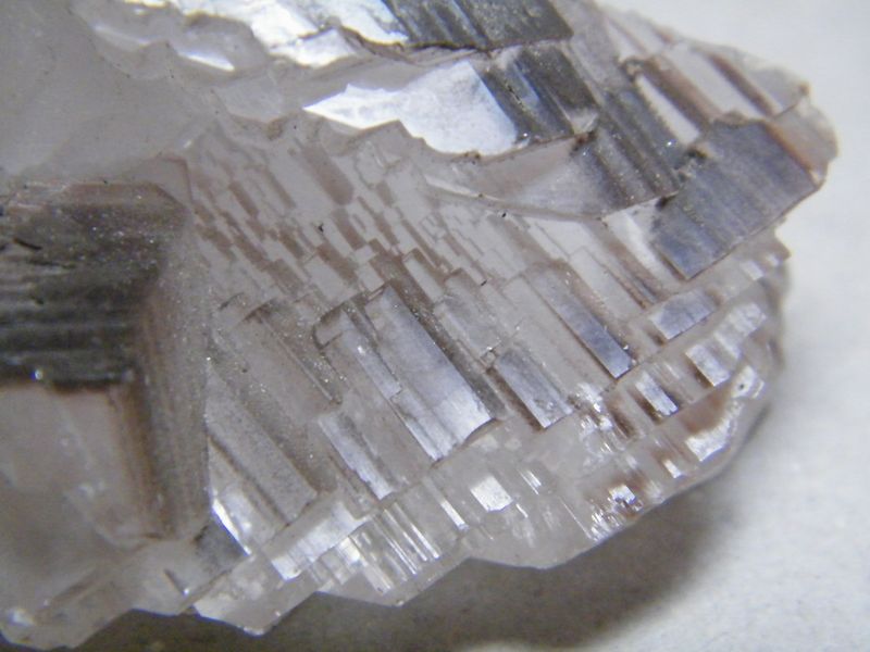 DSCF9330.JPG