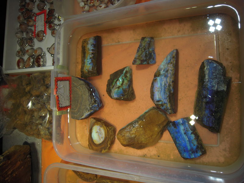 DSCN0002.JPG