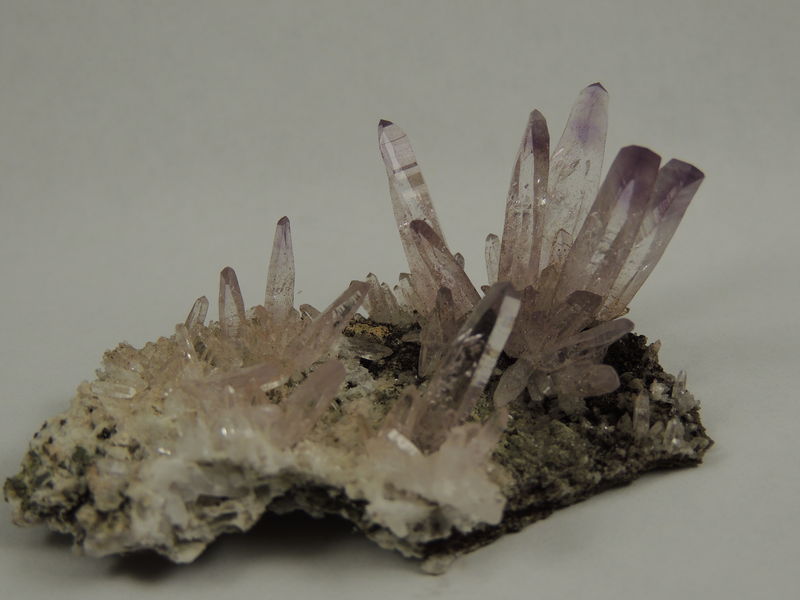 DSCN5199.JPG