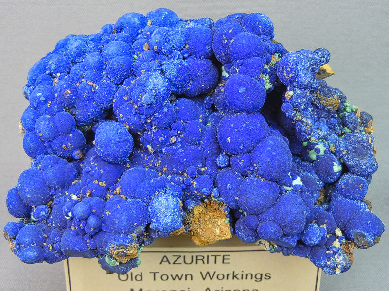 DSCN5704a.jpg