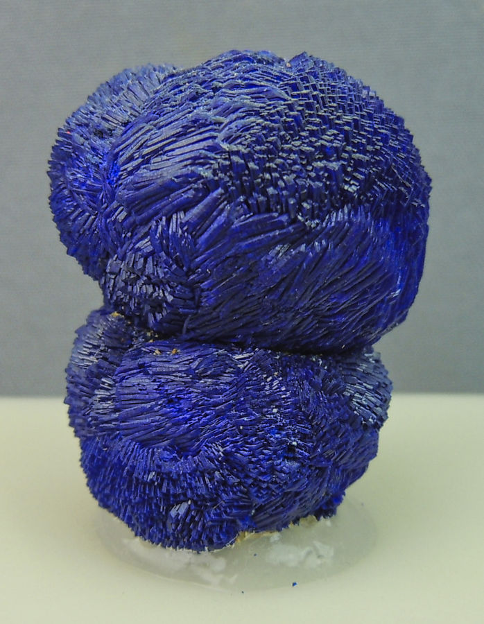 DSCN5719a.jpg
