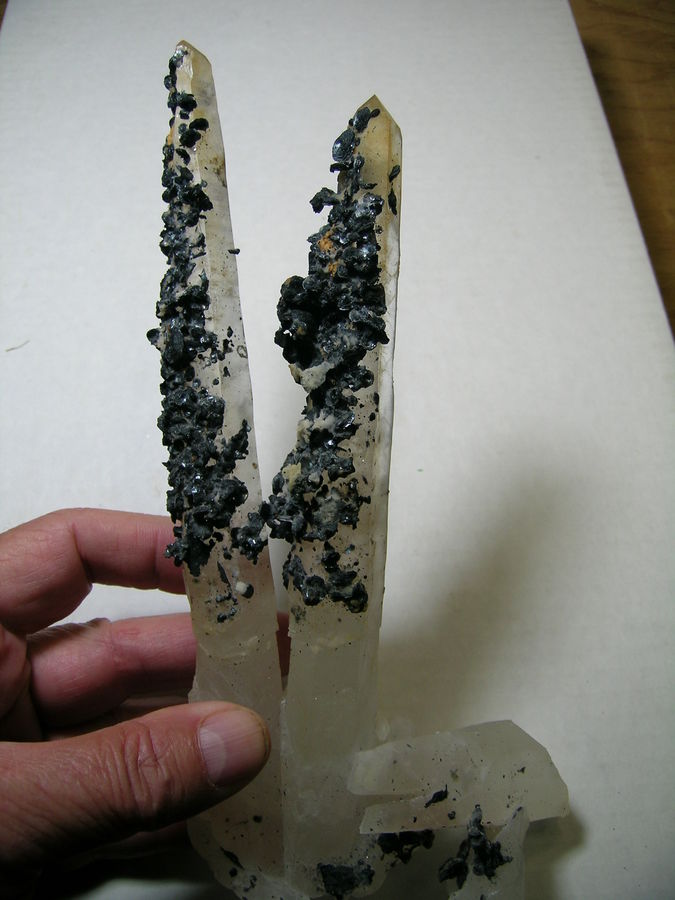 DSCN5989.JPG