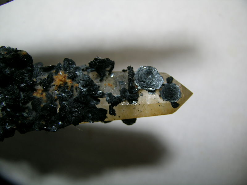DSCN5990.JPG