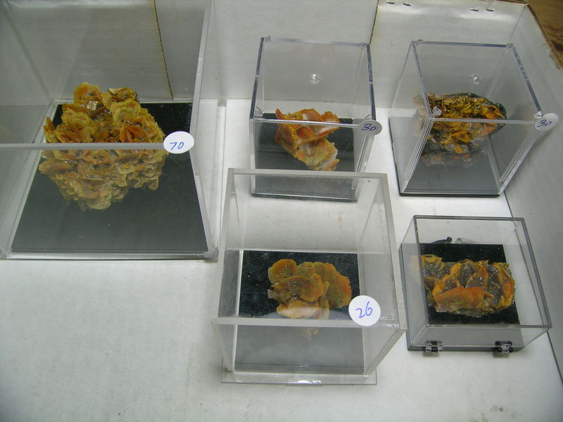 DSCN6003.JPG