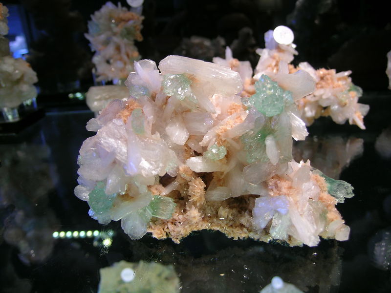 DSCN6025.JPG