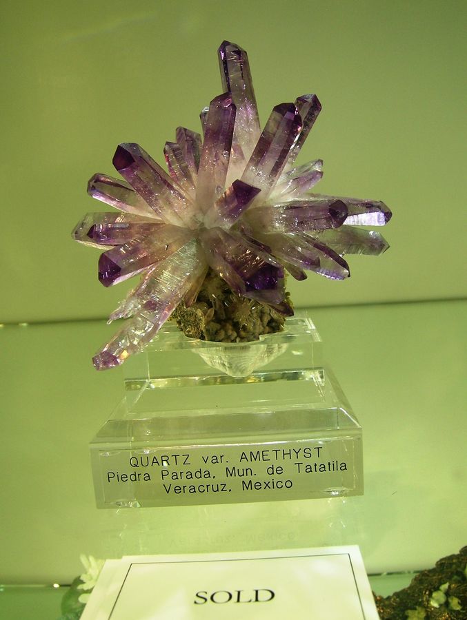 DSCN6973.JPG