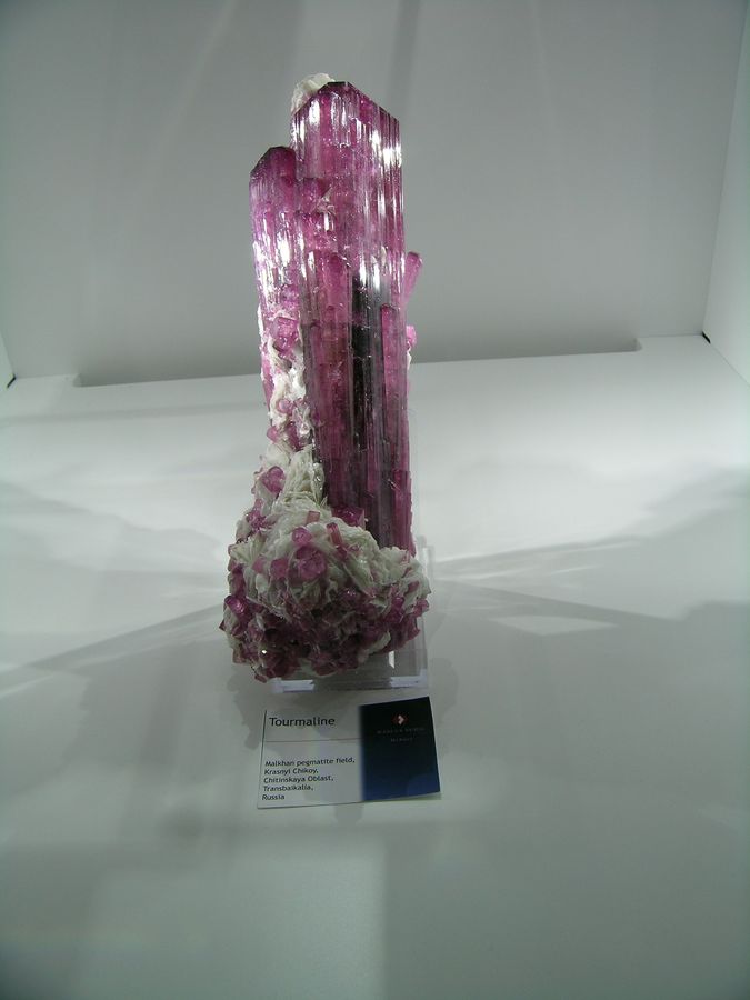 DSCN6991.JPG