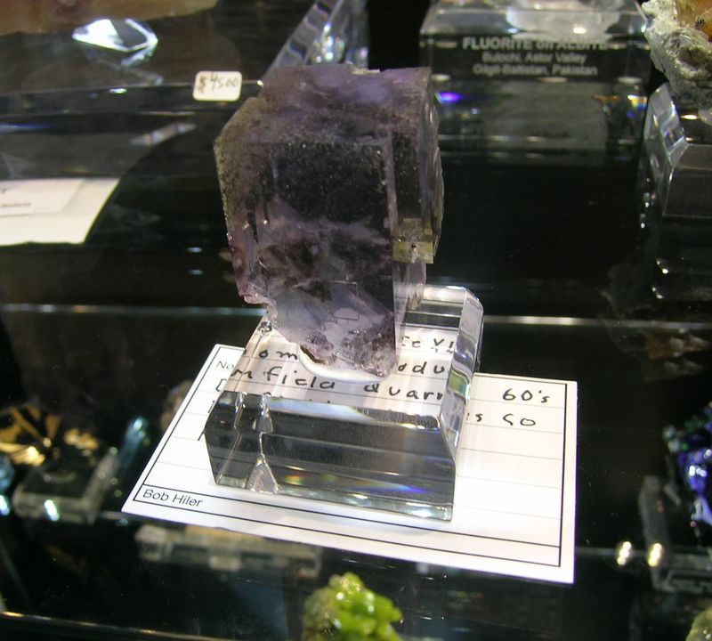 DSCN7001.JPG