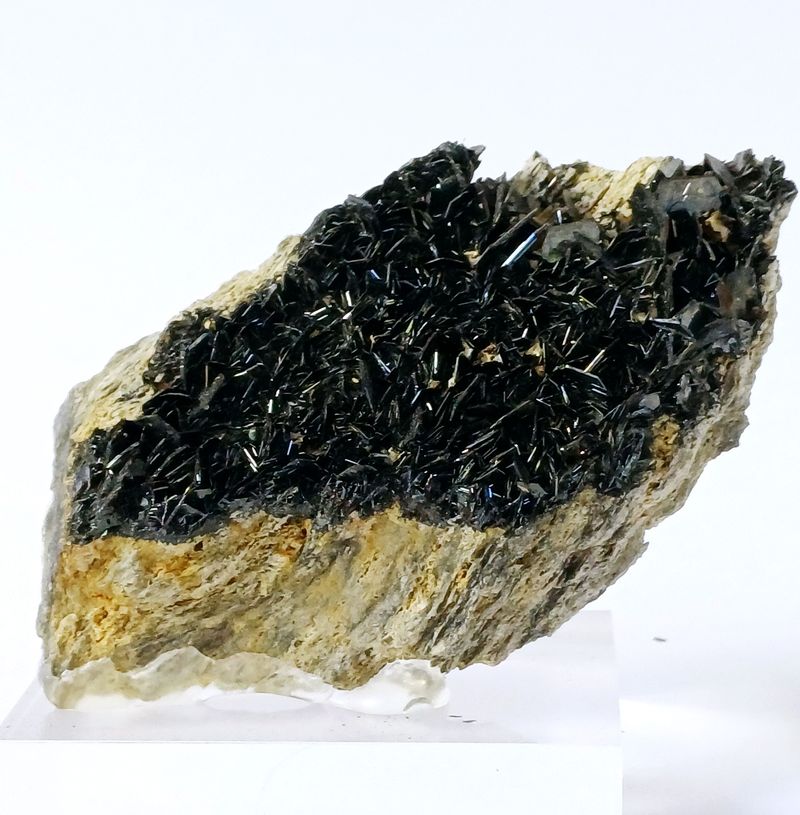 E183.jpg