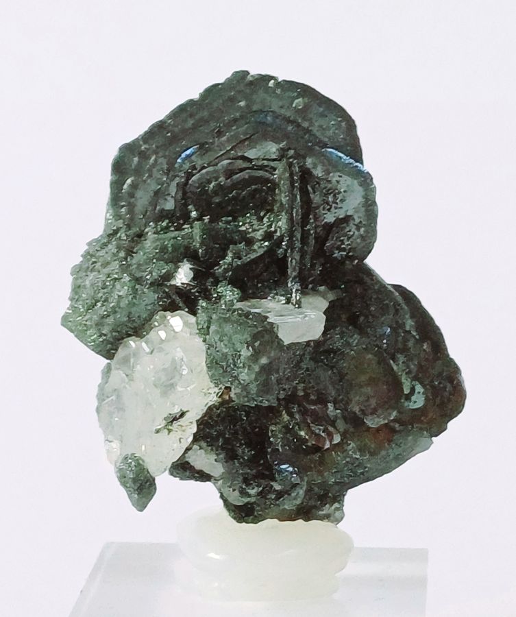 E211.jpg