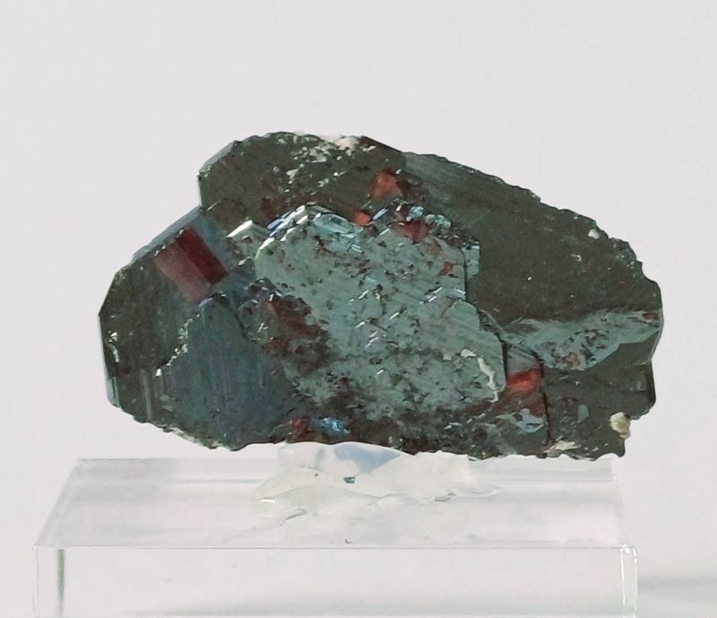 E243.jpg