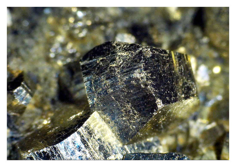 Elba Pyrite with Hematite - small pyrite crystals.jpg