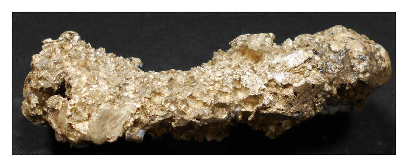ELIZABETH SILVER 3.jpg